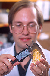 Photograph of Ed Buckler in the laboratory.